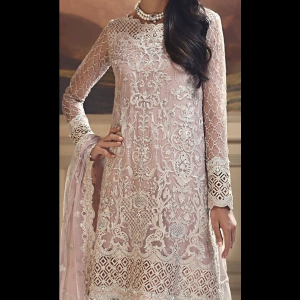 Pakistani women embroidered chiffon dress